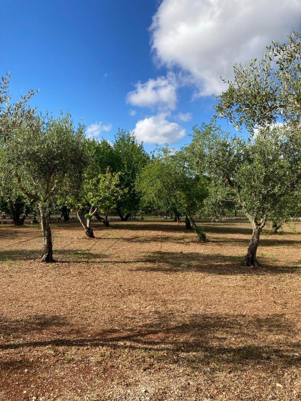 Antica Tenuta Dei Trulli By Qualitravel Alberobello Buitenkant foto